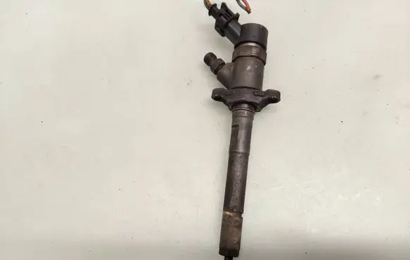 Citroen C4 I Fuel injector 0445110188