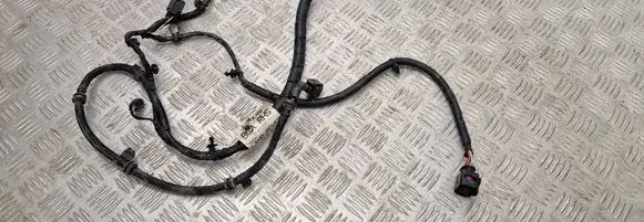 Other wiring loom