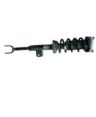 BMW 5 G30 G31 Front shock absorber with coil spring 6866597 686659703 14678612