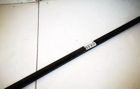 Front door glass trim molding