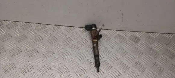 Renault Kadjar Fuel injector 166006212R