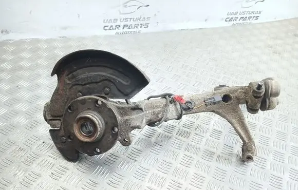 Volkswagen PASSAT B5.5 Front wheel hub spindle knuckle