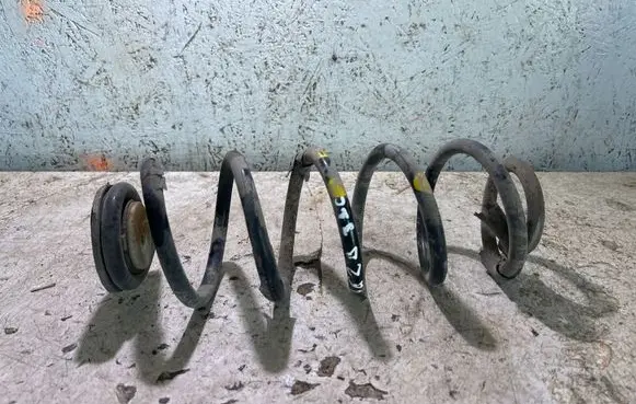 Rear coil spring