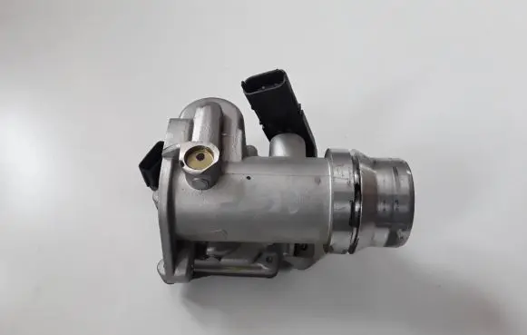 Nissan Qashqai Throttle valve 161A09287R