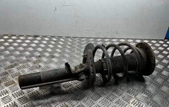 Ford Mondeo MK IV Front shock absorber with coil spring 22182869