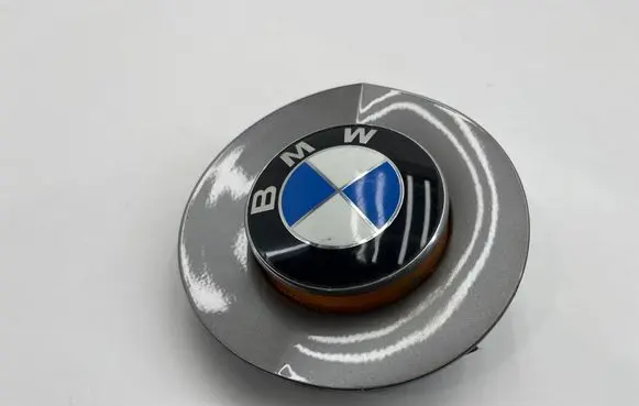 BMW Z4 E85 E86 Front fender indicator light 7033065