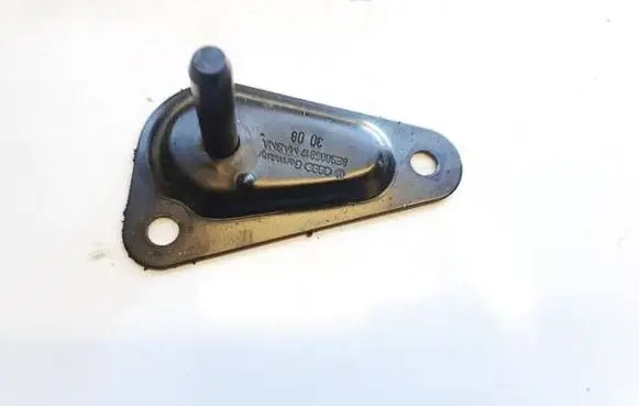 Seat Exeo (3R) Other exterior part 8e9886817