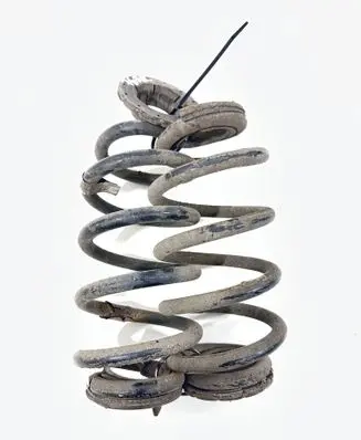 Rear coil spring
