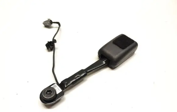 Tesla Model 3 Front seatbelt buckle 1090323C1D