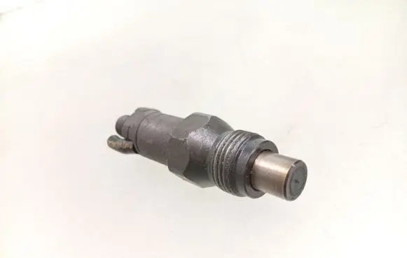 Peugeot 406 Fuel injector LCR6734302H