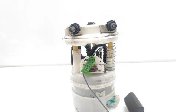 Dacia Sandero In-tank fuel pump 172021904R 09747529900