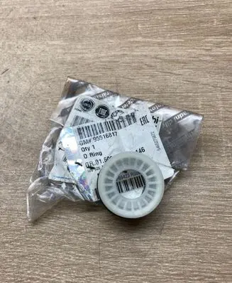 Opel Combo D Other engine part 95516817 OpelOringseal