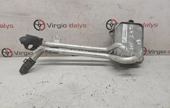 Volkswagen Golf VI Engine oil radiator 03C117021J