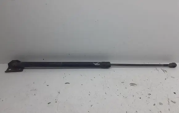 Tailgate strut