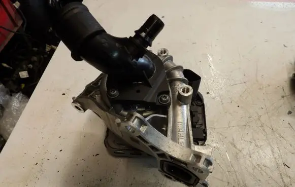 Renault Austral Water pump 210100445R