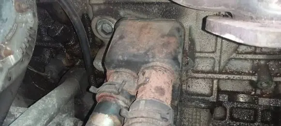 Jaguar X-Type Engine oil radiator 