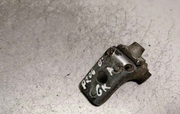 Peugeot 206 Rear door lower hinge