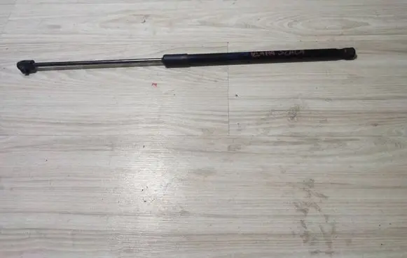Tailgate/trunk strut/damper