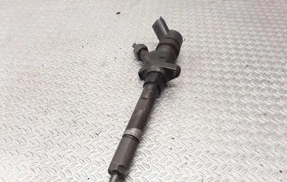 Citroen C8 Fuel injector 0445110057 9638488980