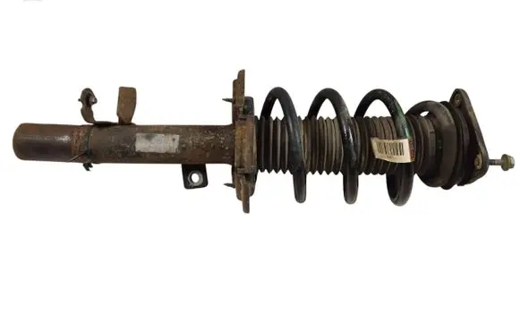 Ford Escape III Front shock absorber with coil spring GJ515310 GJ515310CB E29EJ