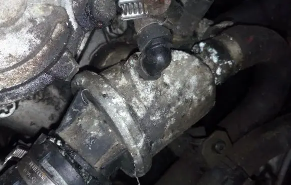 Fiat Bravo - Brava Engine coolant pipe/hose