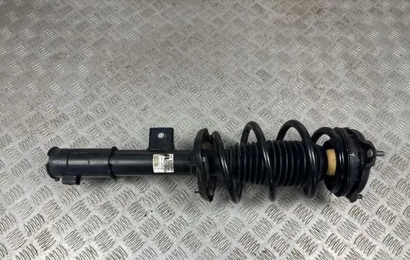 Front shock absorber with coil spring