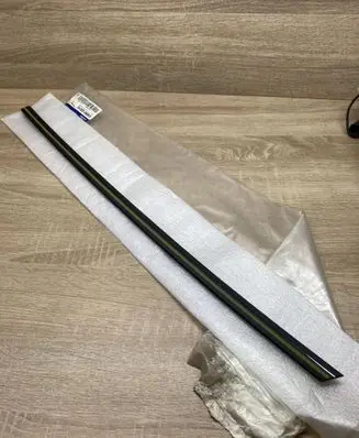 Rear door glass trim molding