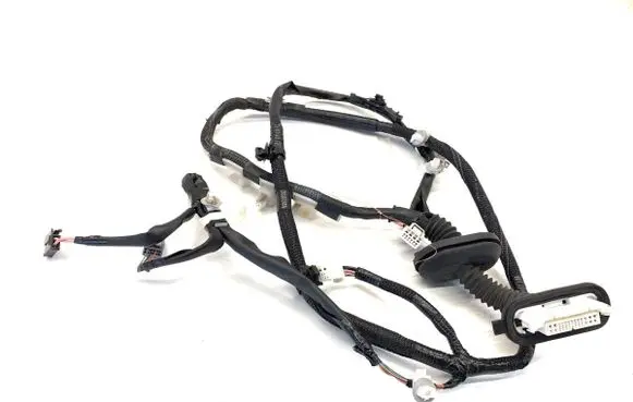 Lexus IS III XE30 Rear door wiring loom 
