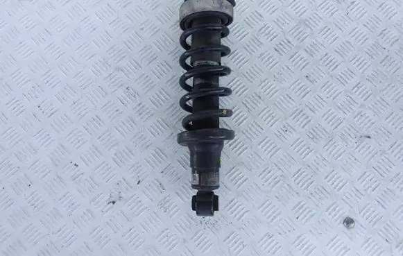 Audi R8 42 Rear shock absorber with coil spring 420512020AF