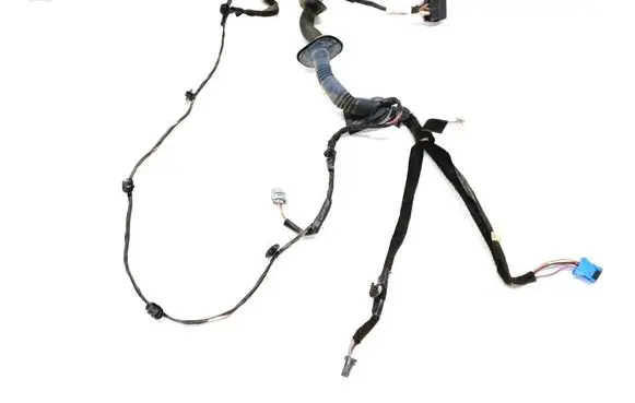 Other wiring loom