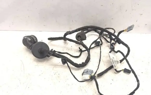 Citroen C6 Rear door wiring loom 9662314280