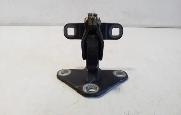 BMW X5 F15 Tailgate hinge 7352697
