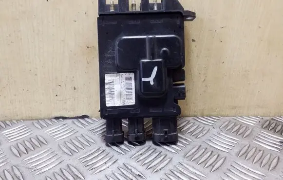 Renault Scenic III - Grand scenic III Positive wiring loom 243800011R