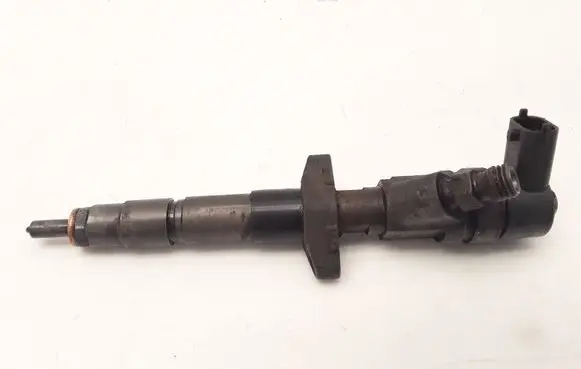 Renault Espace - Grand espace IV Fuel injector 0445110261