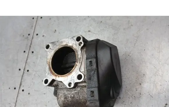 Skoda Fabia Mk1 (6Y) Throttle valve