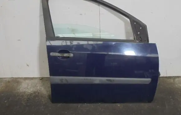 Ford Fiesta Front door 