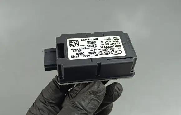 KIA Sorento Other control units/modules 958000C6000