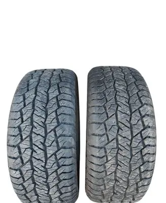 Dodge Durango R20 winter tire Hankook