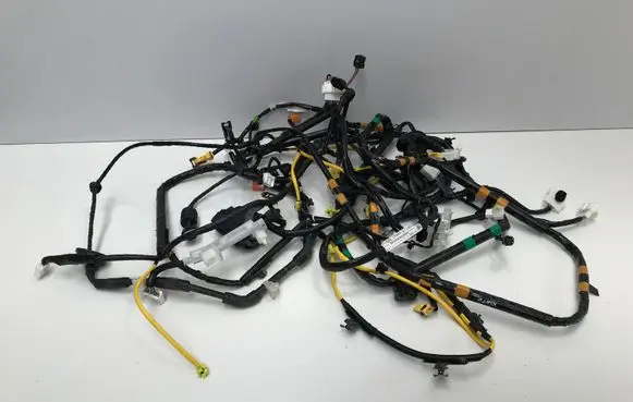 Mazda MX-30 Other wiring loom DN4K67140D