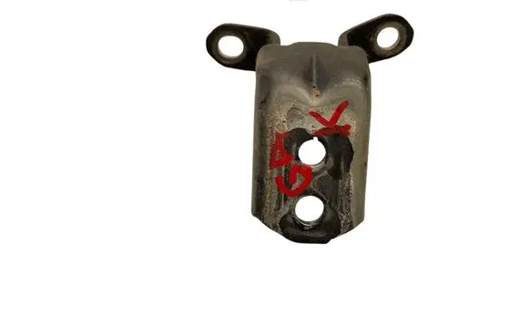 Nissan Qashqai Rear door lower hinge 