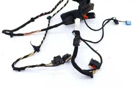 Volkswagen PASSAT CC Rear door wiring loom 3C8971693BP
