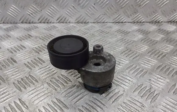 Nissan Micra Alternator belt tensioner pulley 625010-A