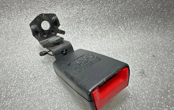 Tailgate/trunk strut/damper