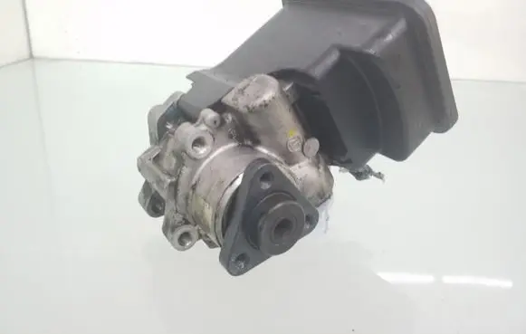 BMW 3 E46 Power steering pump 7691900513 1095155
