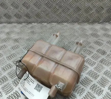 Peugeot Boxer Coolant expansion tank/reservoir 1611966680