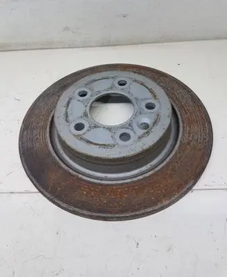 Ford Focus Rear brake disc 02C016500