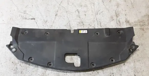 Engine bonnet/hood lock trim molding