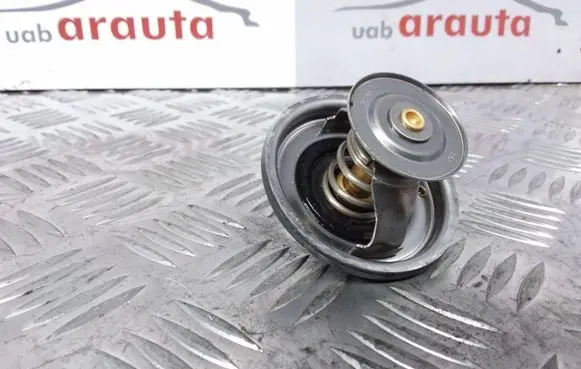 Volkswagen Bora Thermostat/thermostat housing