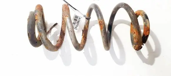 Rear coil spring