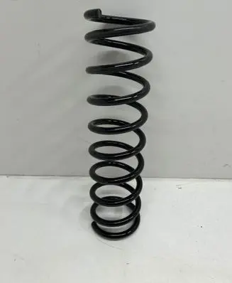 BMW 5 E39 Rear coil spring 251530802046 GH221504